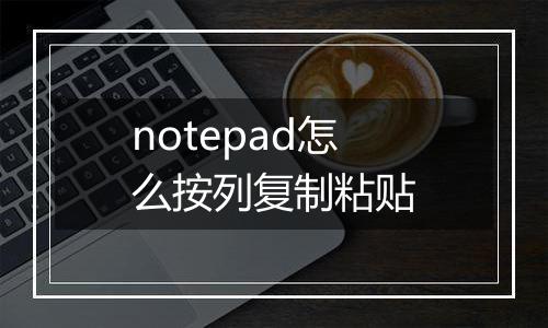 notepad怎么按列复制粘贴