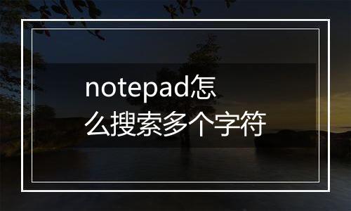 notepad怎么搜索多个字符