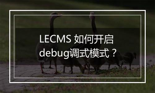 LECMS 如何开启debug调式模式?