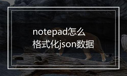 notepad怎么格式化json数据