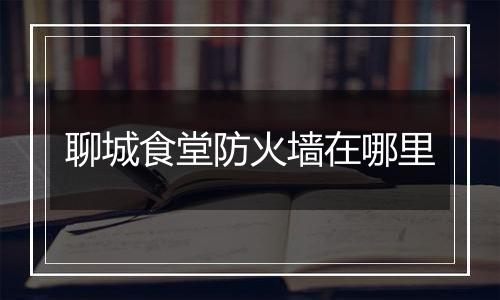 聊城食堂防火墙在哪里