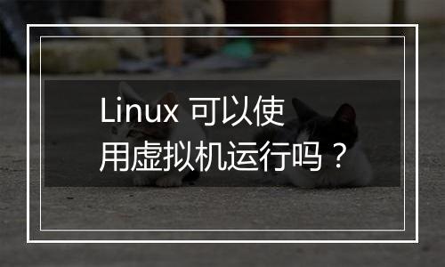 Linux 可以使用虚拟机运行吗?