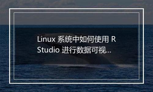 Linux 系统中如何使用 RStudio 进行数据可视化的配置?