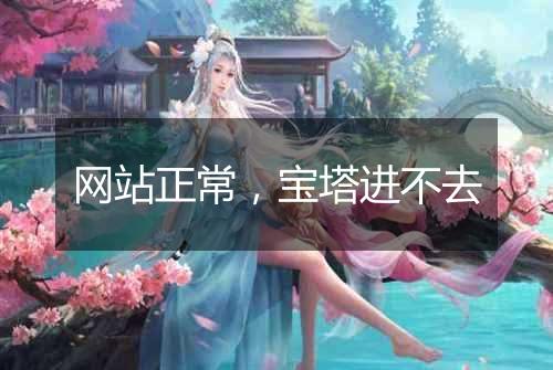 网站正常,宝塔进不去
