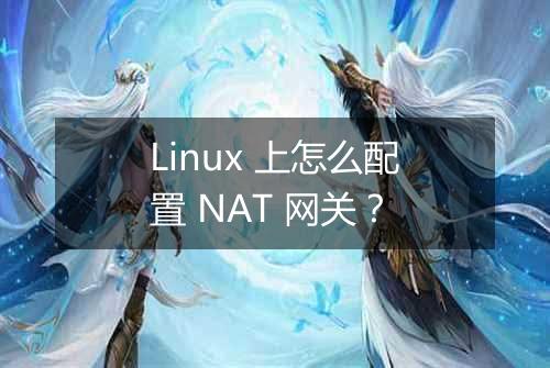 Linux 上怎么配置 NAT 网关?
