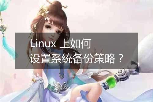 Linux 上如何设置系统备份策略？