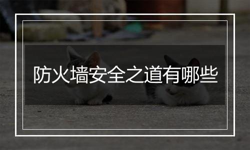 防火墙安全之道有哪些