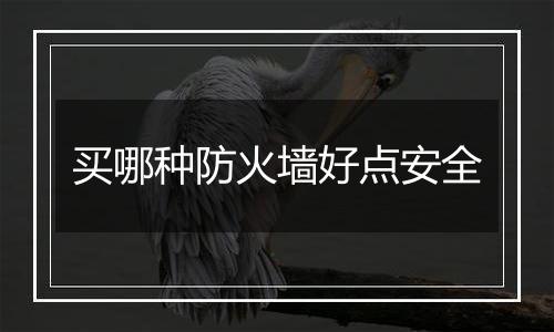 买哪种防火墙好点安全