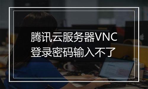 腾讯云服务器VNC登录密码输入不了