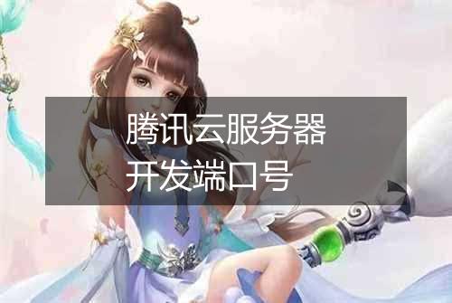腾讯云服务器开发端口号