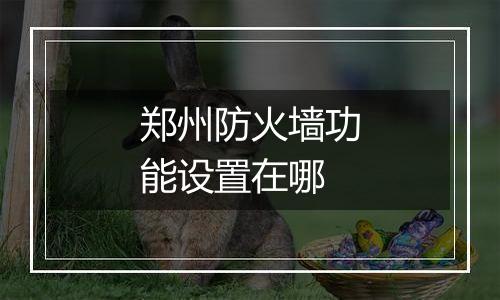 郑州防火墙功能设置在哪