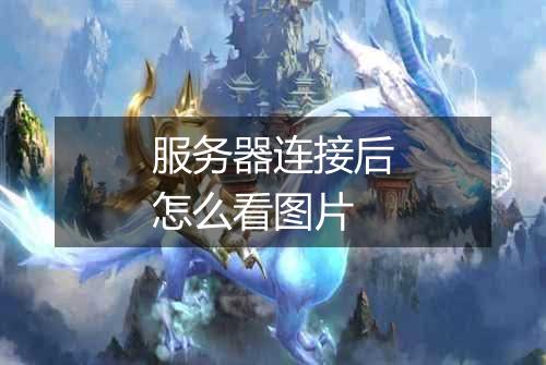 服务器连接后怎么看图片