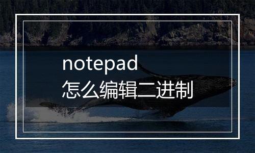 notepad怎么编辑二进制