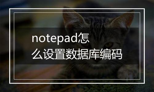 notepad怎么设置数据库编码