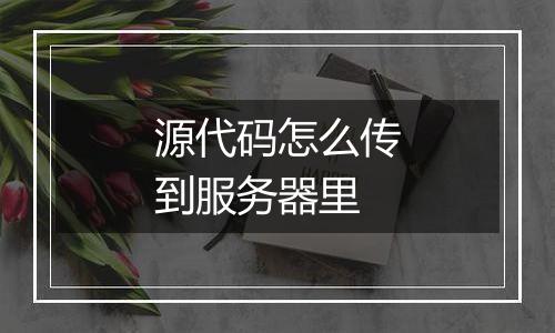 源代码怎么传到服务器里