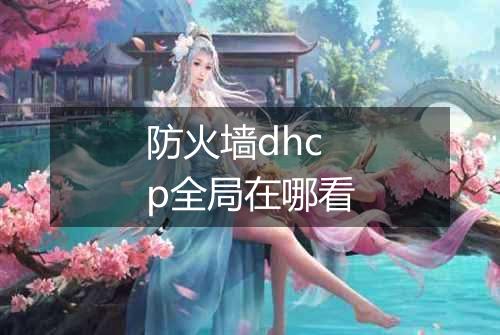 防火墙dhcp全局在哪看