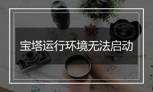宝塔运行环境无法启动