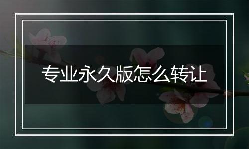 专业永久版怎么转让