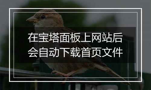 在宝塔面板上网站后会自动下载首页文件