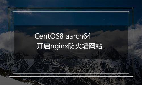 CentOS8 aarch64 开启nginx防火墙网站500