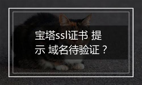 宝塔ssl证书 提示 域名待验证?