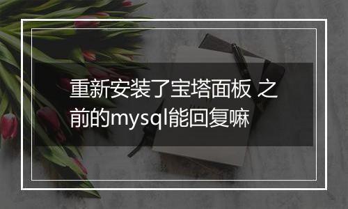 重新安装了宝塔面板 之前的mysql能回复嘛
