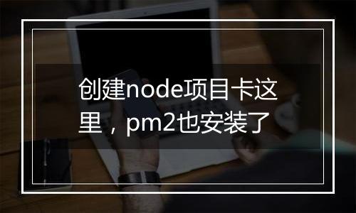 创建node项目卡这里,pm2也安装了