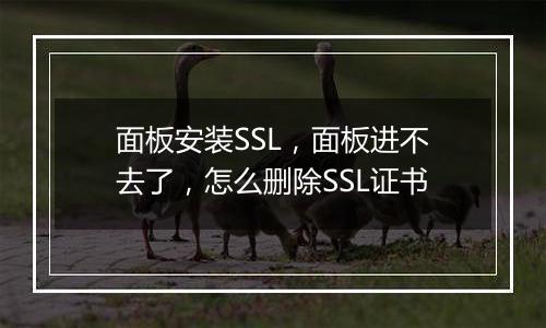 面板安装SSL,面板进不去了,怎么删除SSL证书
