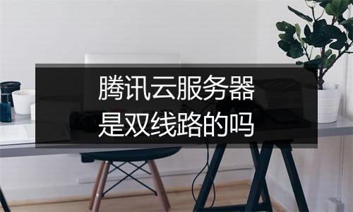 腾讯云服务器是双线路的吗