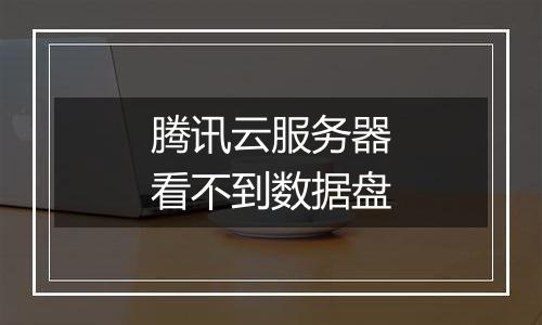 腾讯云服务器看不到数据盘