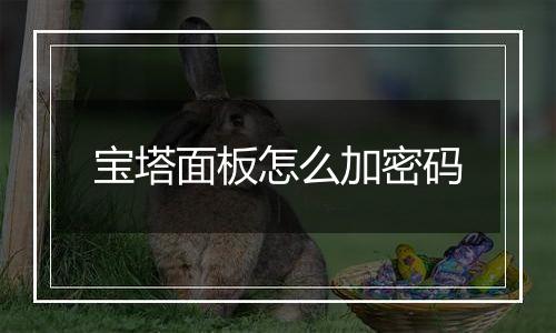 宝塔面板怎么加密码