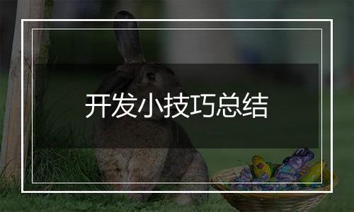 开发小技巧总结
