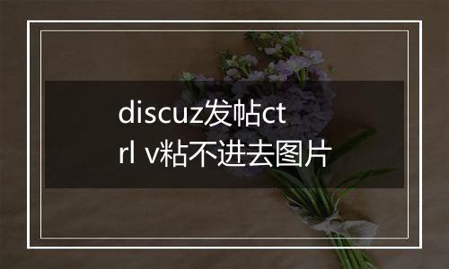 discuz发帖ctrl v粘不进去图片