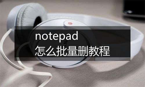 notepad怎么批量删教程