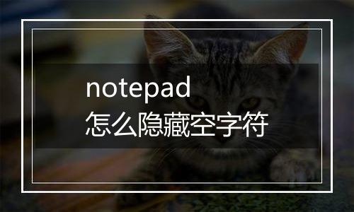 notepad怎么隐藏空字符