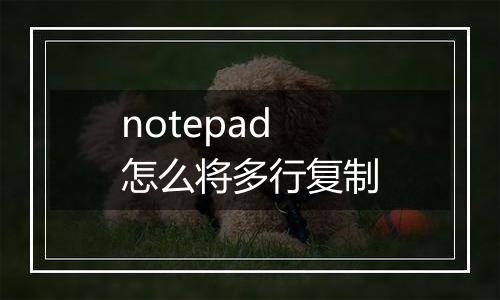 notepad怎么将多行复制