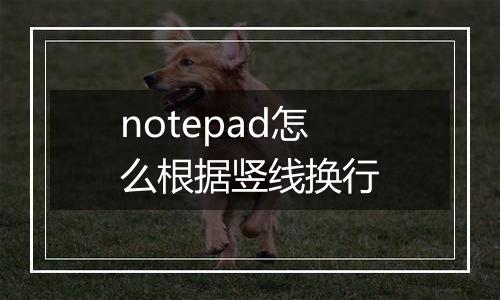 notepad怎么根据竖线换行