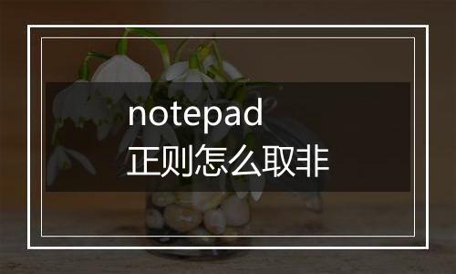 notepad正则怎么取非