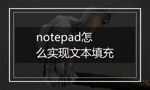 notepad怎么实现文本填充