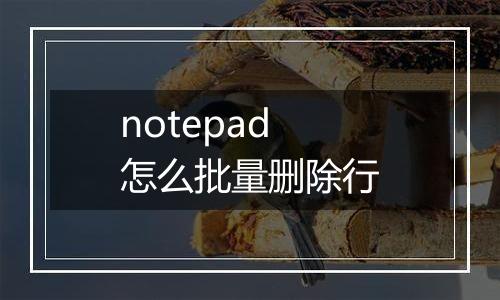 notepad怎么批量删除行