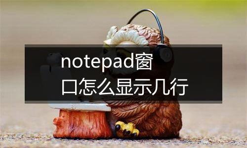 notepad窗口怎么显示几行