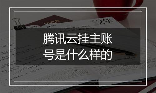 腾讯云挂主账号是什么样的
