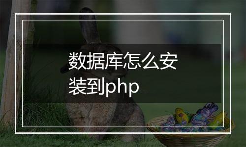 数据库怎么安装到php