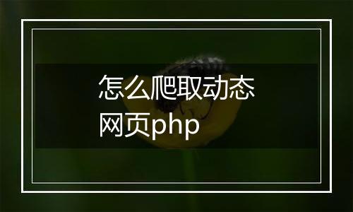 怎么爬取动态网页php