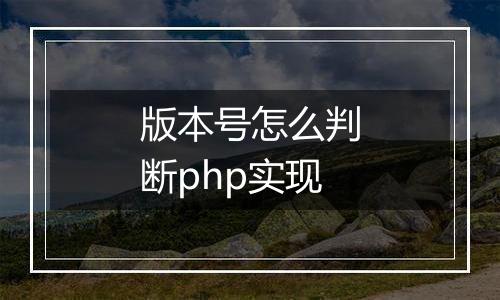 版本号怎么判断php实现