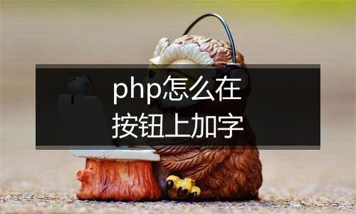 php怎么在按钮上加字