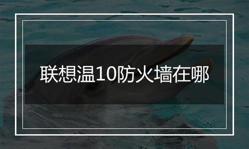 联想温10防火墙在哪