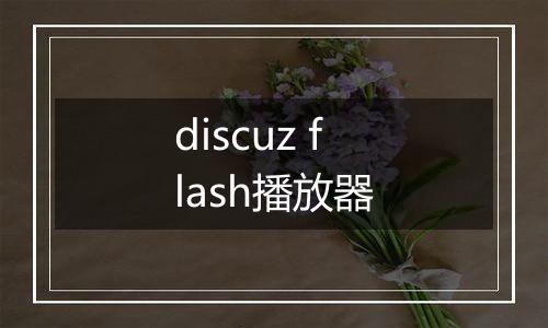 discuz flash播放器
