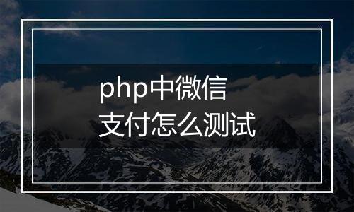 php中微信支付怎么测试