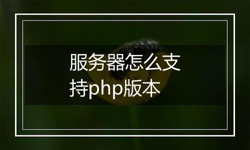 服务器怎么支持php版本